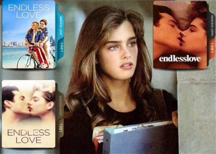 Endless Love 1981
