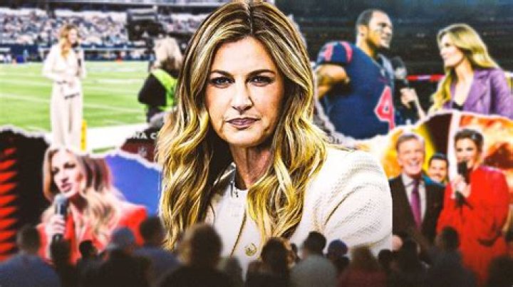 Erin Andrews net worth Erin Andrews net worth