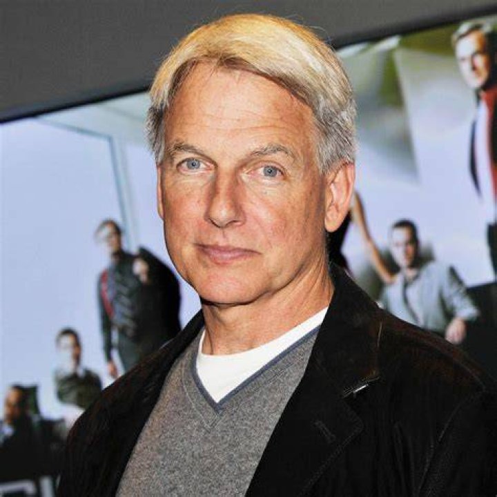 Everything NCIS star Mark Harmon and his costars have said about his return HELLO!