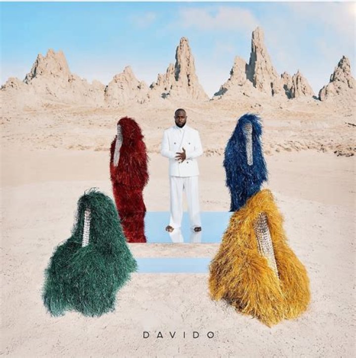Exploring Davido's Financial Empire How Much Is Davido's Net Worth In