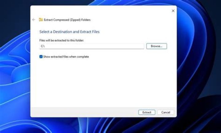Extract folder window Extract Compressed Folder window xbox error e203