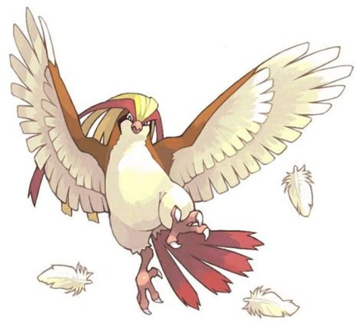 Falkner Pidgeot Whirlwind.png