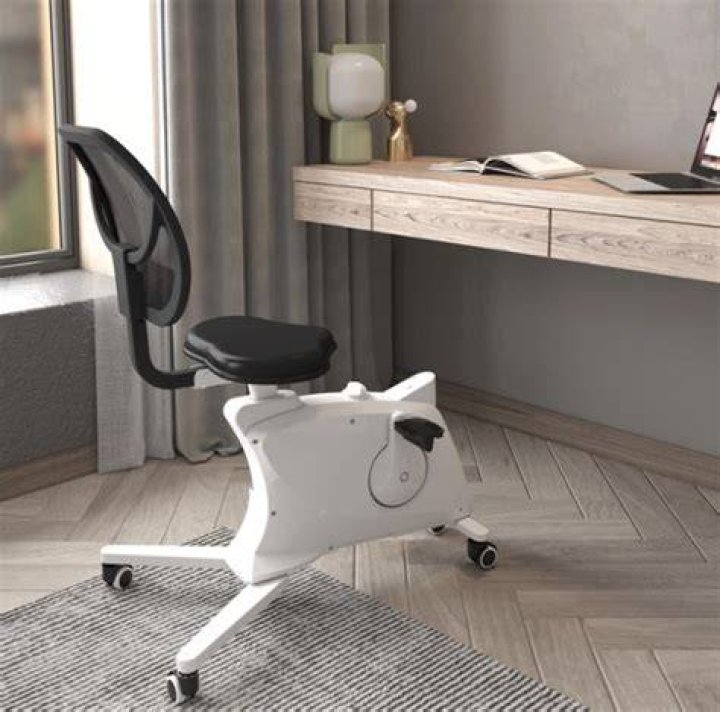 Flexispot Sit2Go 2 in 1 Fitness Chair Widget Image Flexispot Sit2Go 2 in 1 Fitness Chair Widget Image