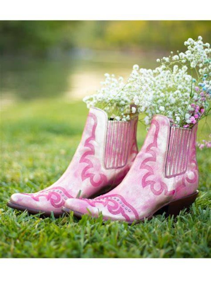 fuchsia-boot fuchsia-boot