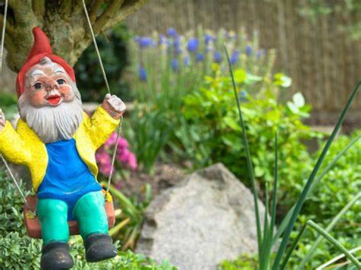 Gnome
