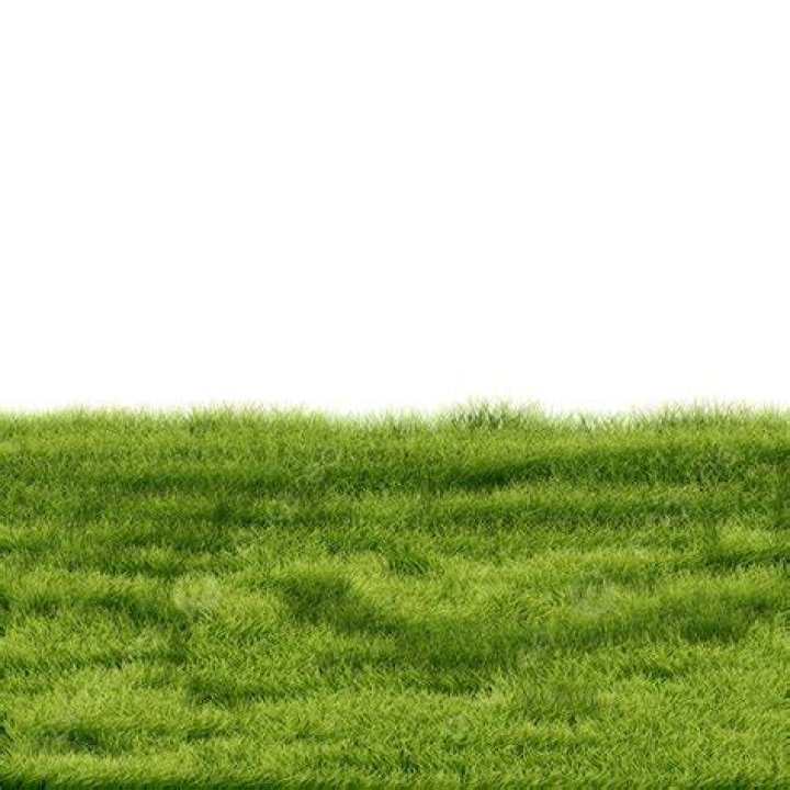 GO Grass.png