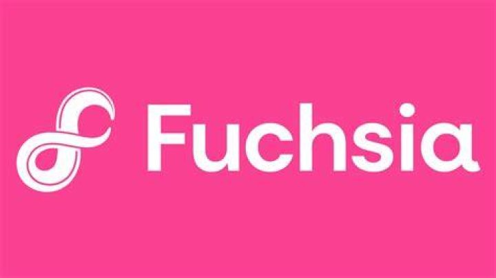 google-fuchsia-os-logo Google Fuchsia logo