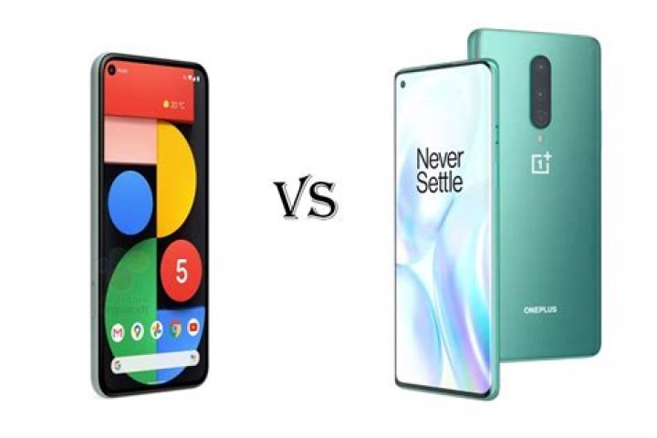 Google Pixel 5 vs OnePlus 9 Pro cameras 1 Google Pixel 5 vs OnePlus 9 Pro cameras 1