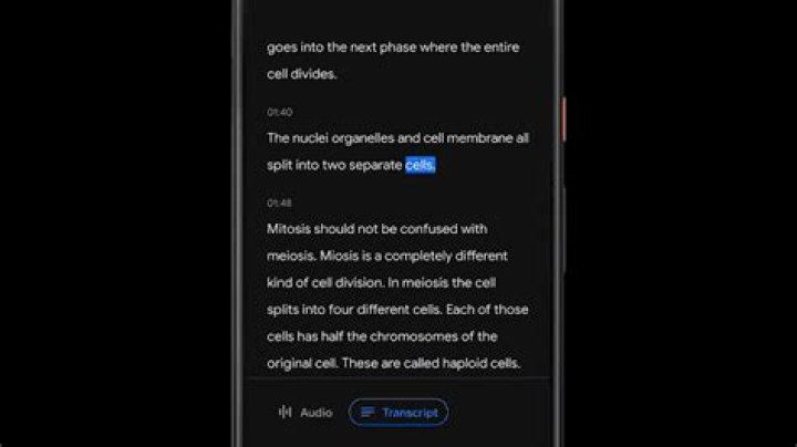Google Recorder App transcript Google Recorder App transcription feature