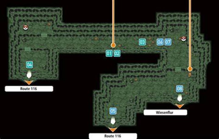 Hoenn Rusturf Tunnel Map.png