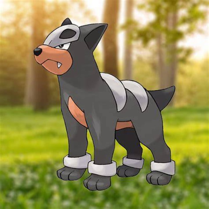 Houndour