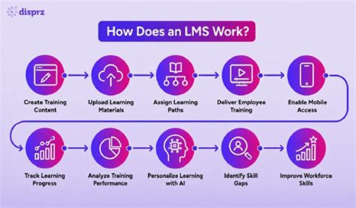 How does an LMS work?