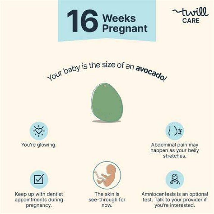 How Long Is 16 Weeks