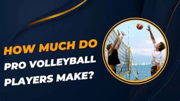How much do pro volleyball players make How much do pro volleyball players make