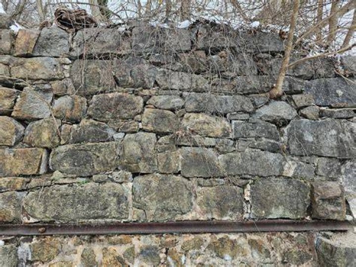 How Old Is Tawnee Stone Telegraph
