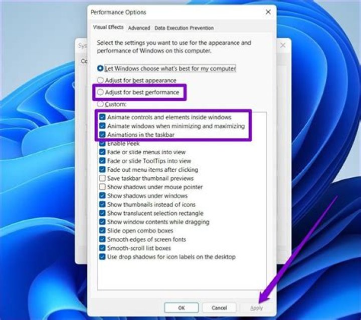 How to disable animations in Windows 11