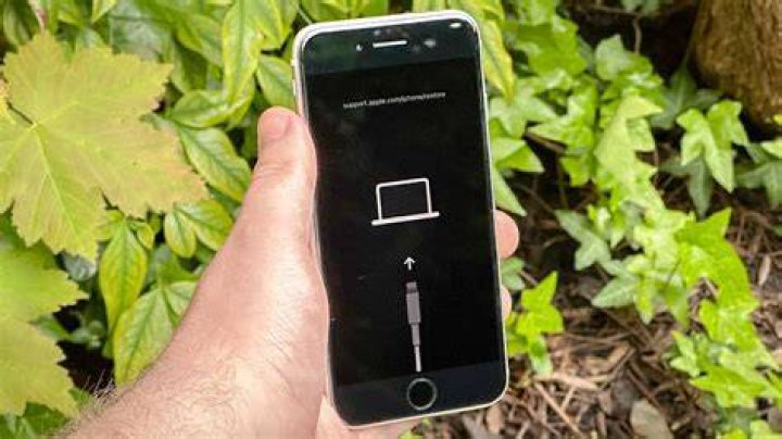 How To Factory Reset Iphone 7 When Disabled