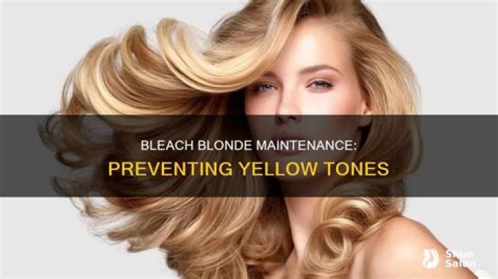 How to Keep Bleach Blonde Hair Hydrated