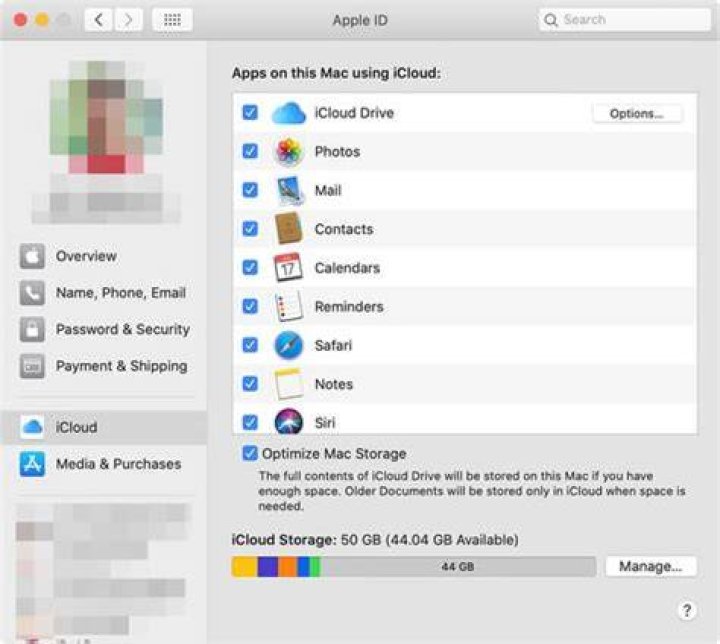 iCloud Drive not showing files on Mac • MacTips