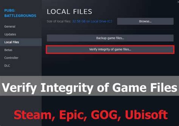 integrity game files Status invalid image format