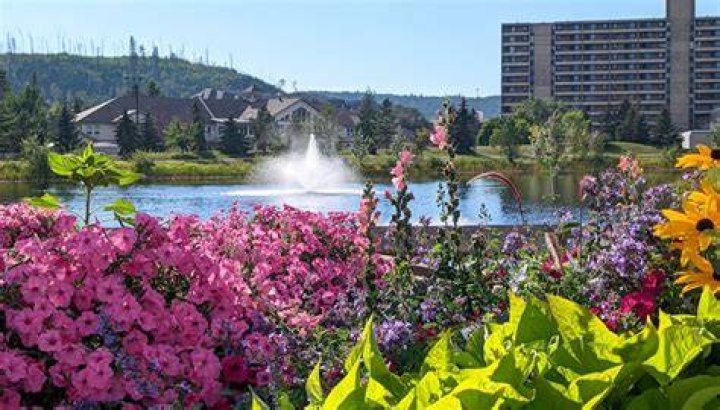 Jane Sparkes Fort McMurray, Alberta, Canada Professional Profile
