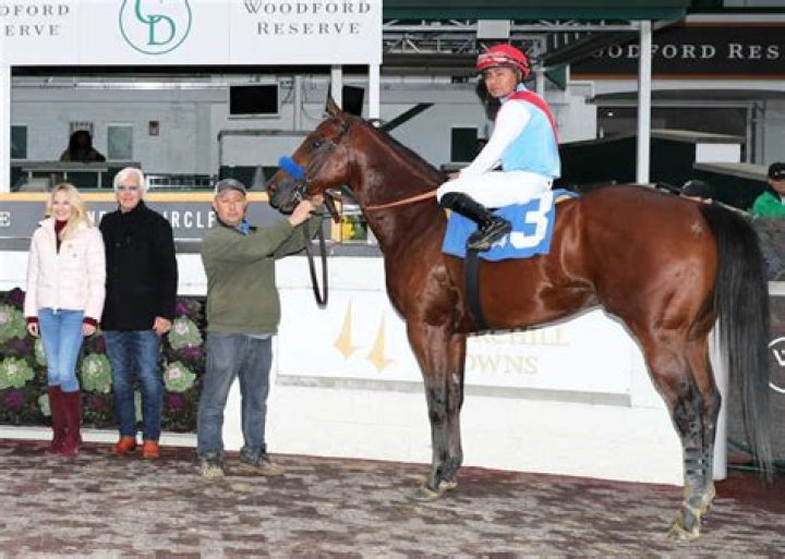 Jill Baffert Horse Breeding Jill Baffert Horse Breeding