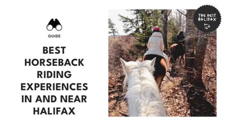 Jill Baffert horseback riding Jill Baffert horseback riding