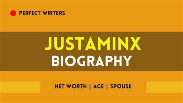 Justaminx Net Worth