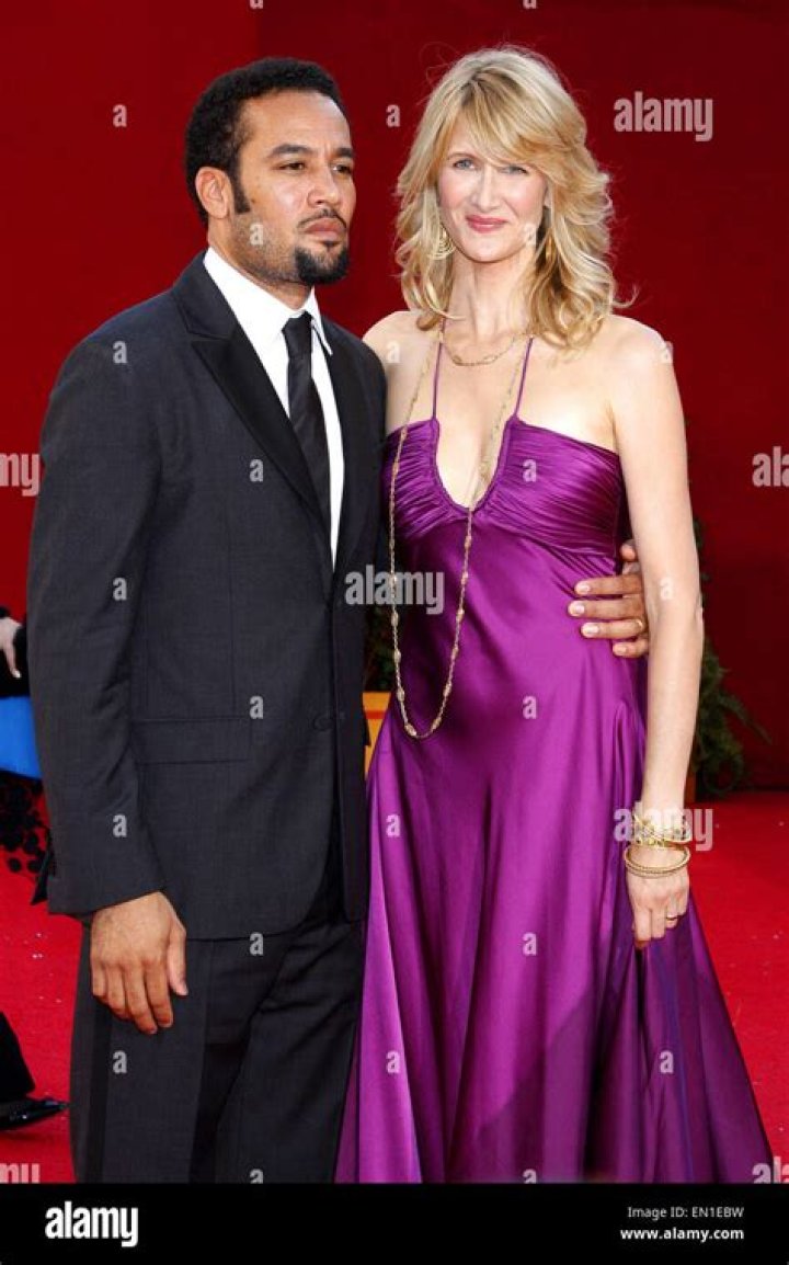 Laura Dern and Ben Harper divorce Page Six