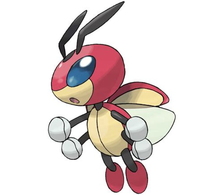 Ledyba