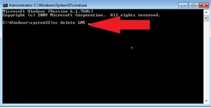LMS.exe