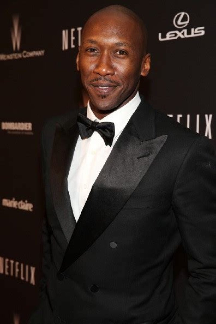 mahershala ali net worth mahershala ali net worth