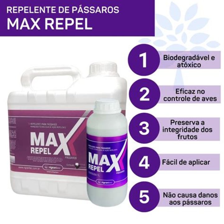 Max Repel