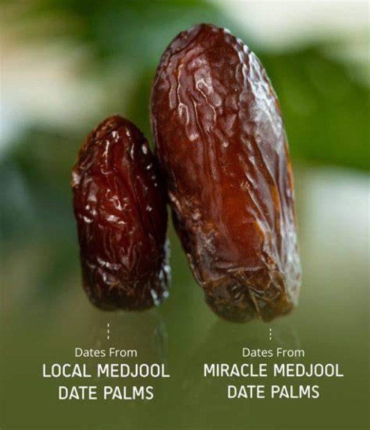 Medjool: A Date to Remember