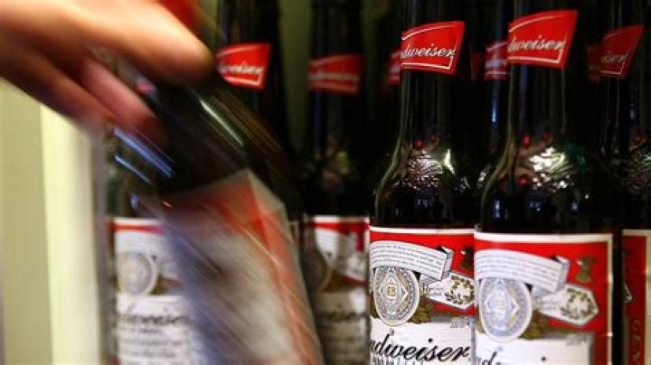 Meet the Beer Bottle Dictator