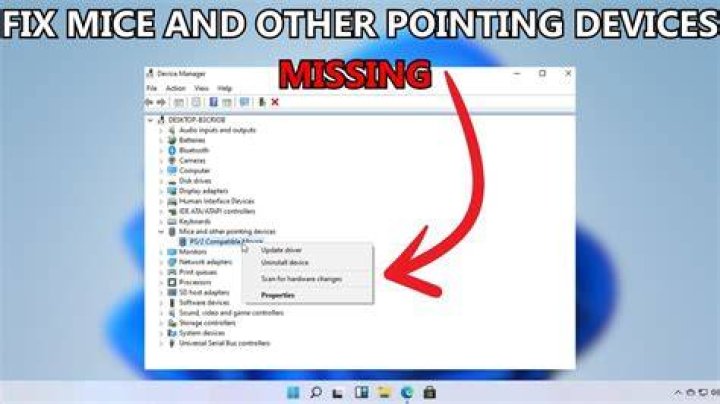 Mice and other pointing devices