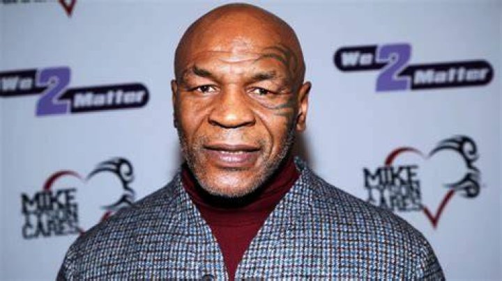 Mike Tyson net worth in 2019 Mike Tyson net worth in 2019