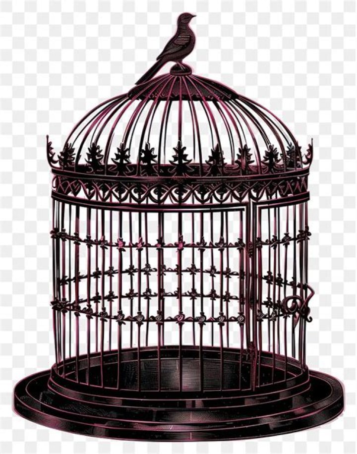 MS Bird I.png