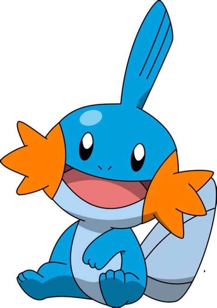 Mudkip