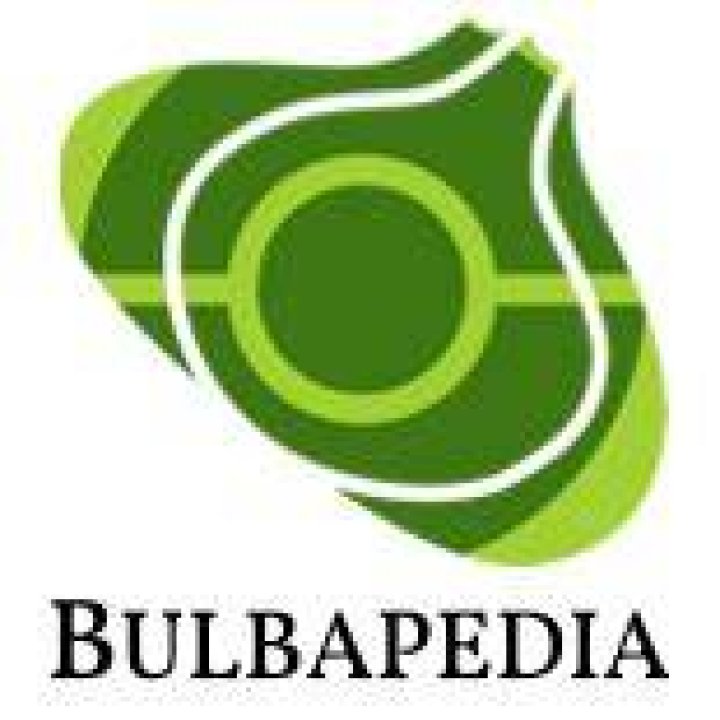 Multitype (Ability) - Bulbapedia, the community-driven Pokémon encyclopedia