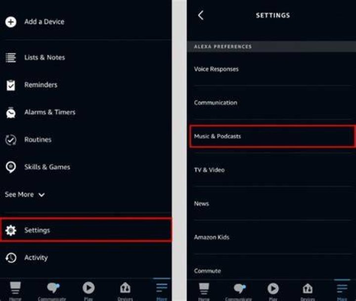 music and podcasts settings alexa