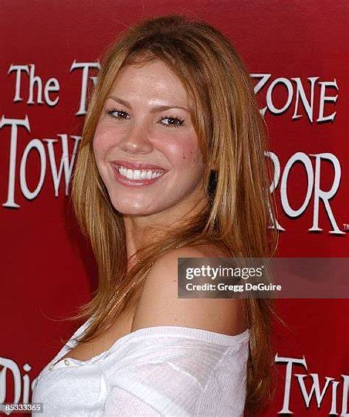 Nikki Cox's Recent Divorce Has People Wondering What Happened to Her?