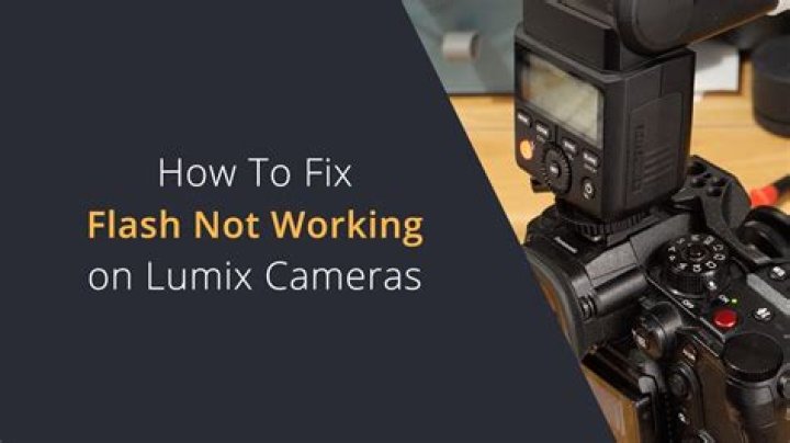 Nikon camera flash not working
