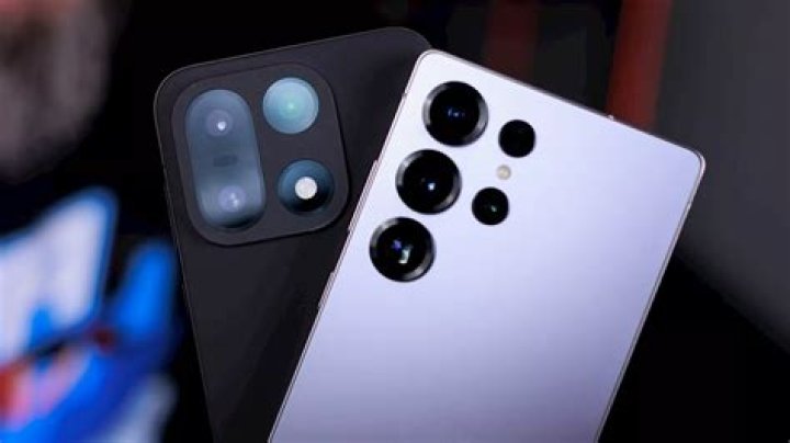 OnePlus 7 sample photo outside standard tree