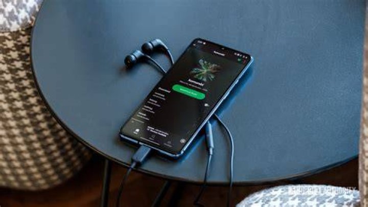 OnePlus 7T music playback spotify OnePlus 7T music playback spotify