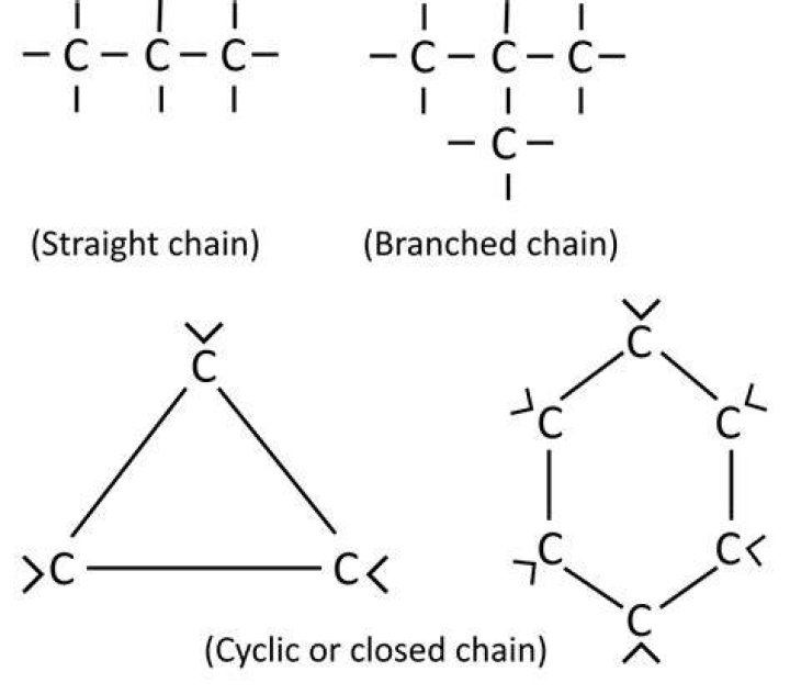 Organic chain