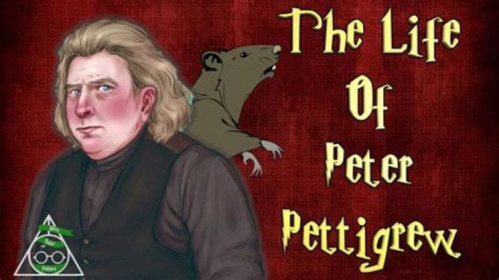 Peter Pettigrew Wallpapers Wallpaper Cave