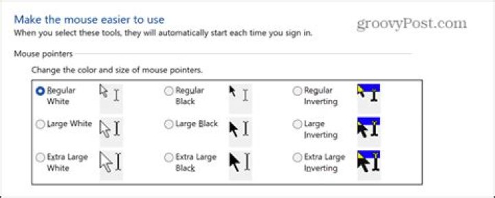 Pointer options