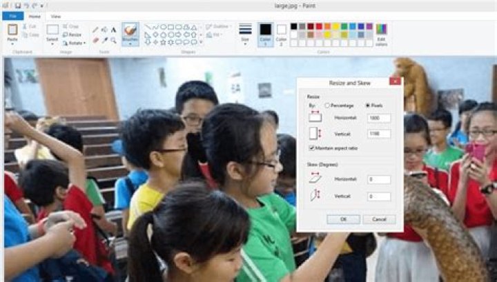 power bi resize image paint