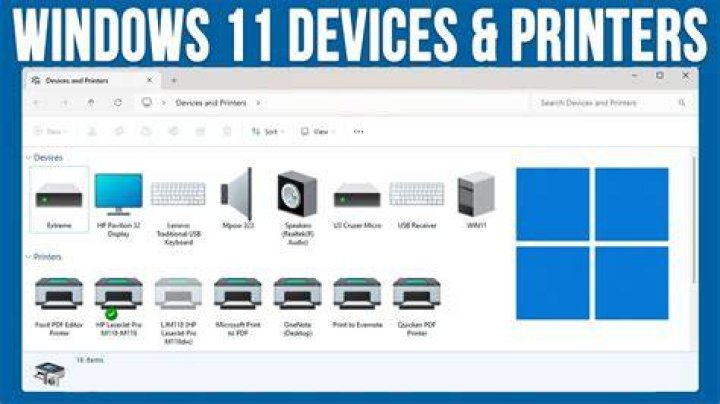 printers windows 11 not detecting canon printer